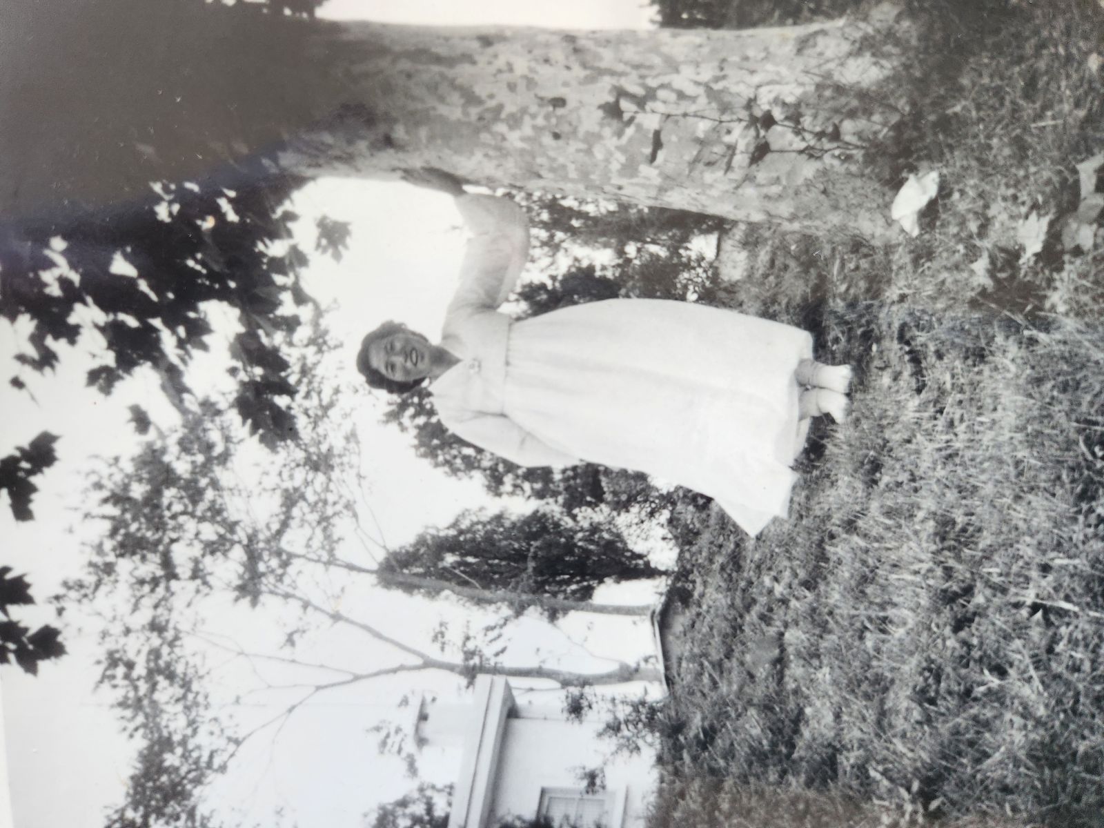 젊은 시절의 어머니